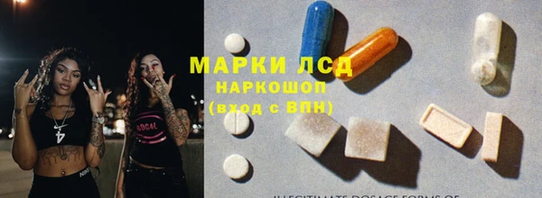ГАЛЛЮЦИНОГЕННЫЕ ГРИБЫ Арсеньев