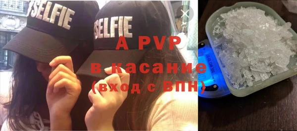 ГАЛЛЮЦИНОГЕННЫЕ ГРИБЫ Арсеньев