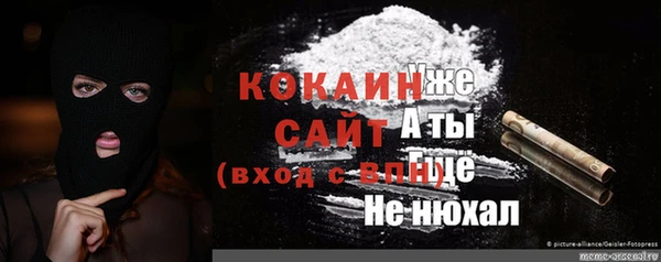 ГАЛЛЮЦИНОГЕННЫЕ ГРИБЫ Арсеньев