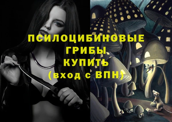 ГАЛЛЮЦИНОГЕННЫЕ ГРИБЫ Арсеньев