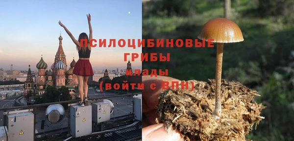 ГАЛЛЮЦИНОГЕННЫЕ ГРИБЫ Арсеньев