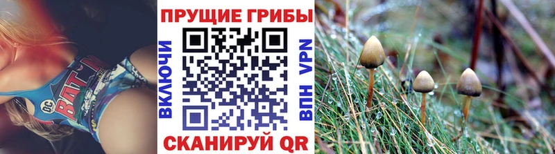 Псилоцибиновые грибы ЛСД  ссылка на мегу сайт  Ряжск 